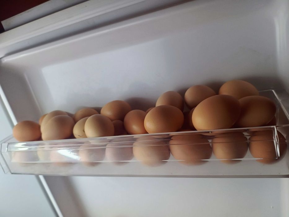 Ouă de casă de vânzare