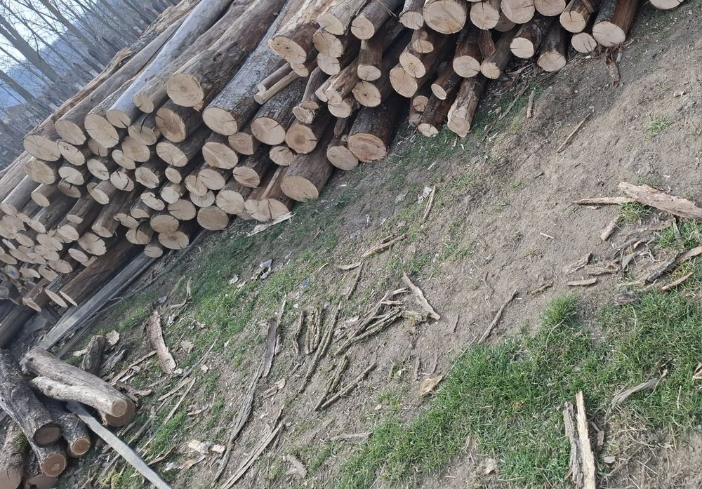 Vând  stâlpi /pari