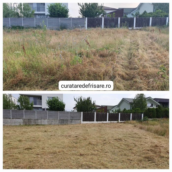 Curatare Teren/ Defrisare/ Tocare Vegetatie /Eliminare Ambrozie