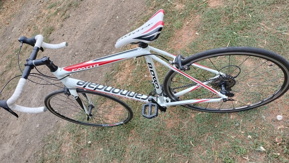 Cursiera Cannondale CAAD8