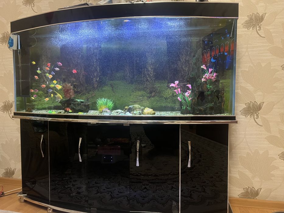 Akvarium 500 litr komplekt