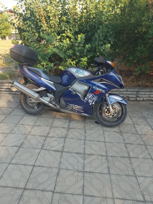 Honda cbr 1100 Blackbrd