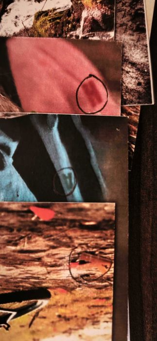 Криминално Разследване Случай Мартин