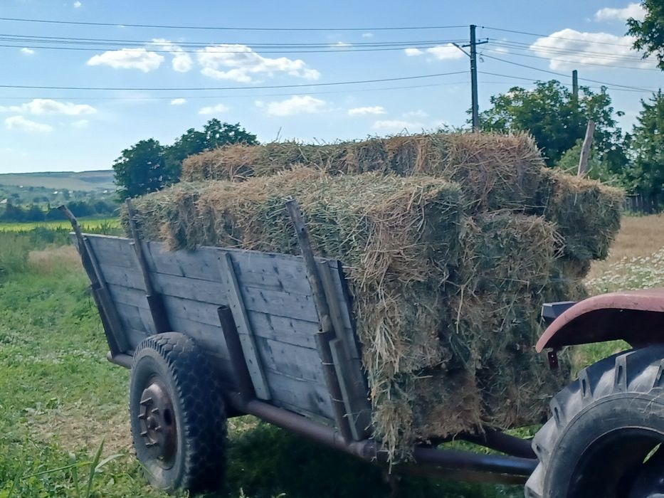Baloți lucernă coasa a doua
