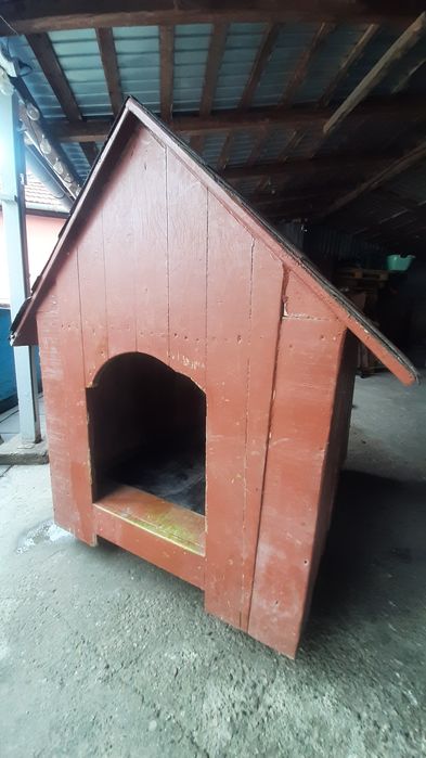 Vând cușcă de câine