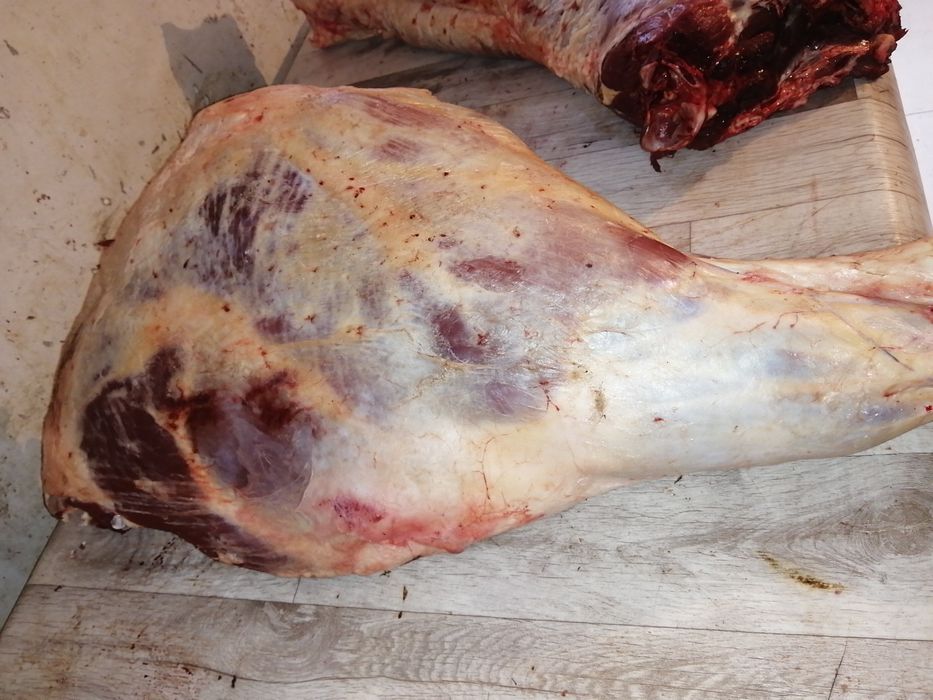 Мясо говядина молодняк