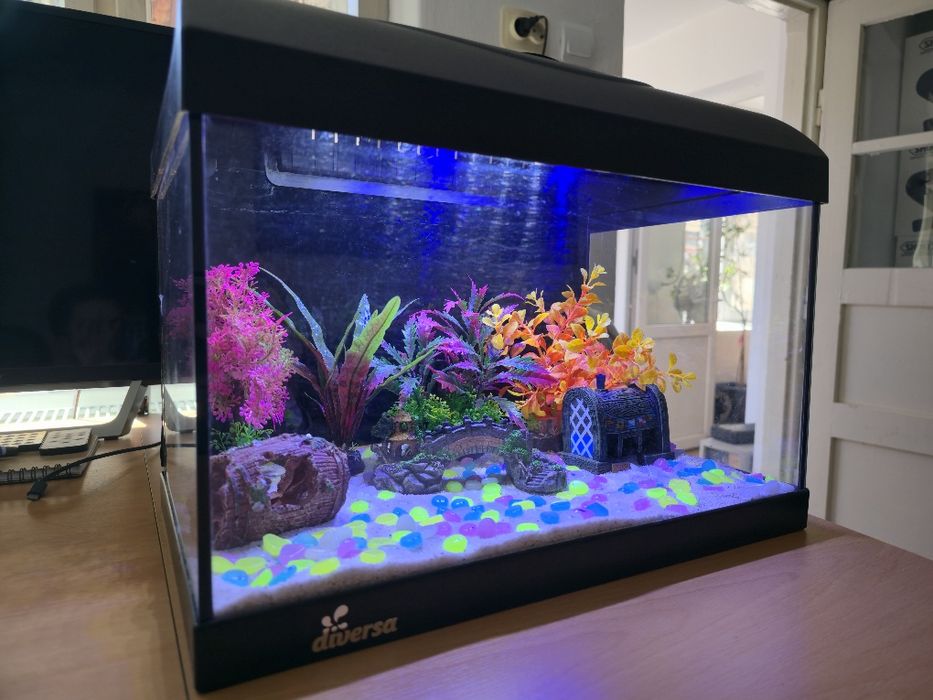 Acvariu pentru pești 25L cu toate accesoriile