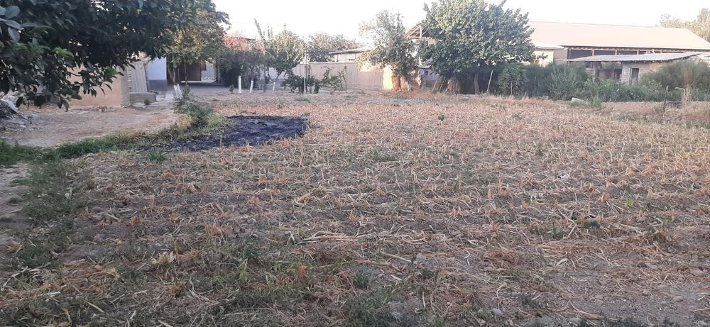 Чиноз туманида 13 сотих, 3 хона, хаммом туалет, уй сотилади