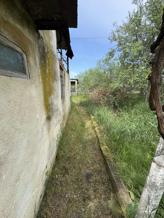 Casa Variasu mare