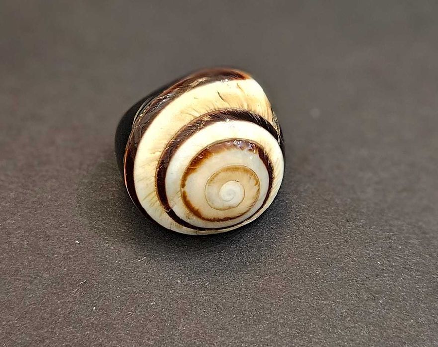 Пръстен от естествен рапан. Уникален!