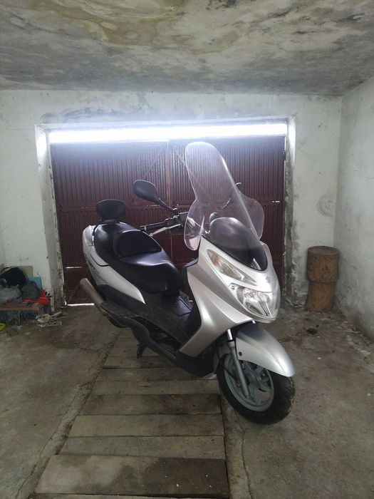 Suzuki brooklyn