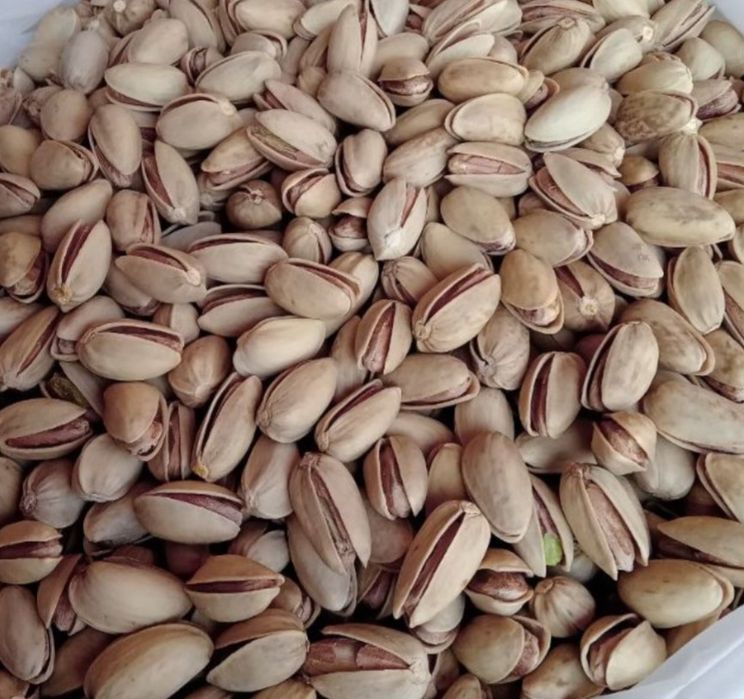 Киви ва хандон писта кучатлари бор 1 ва 3 йилликлари бор.  Нархи 50.00