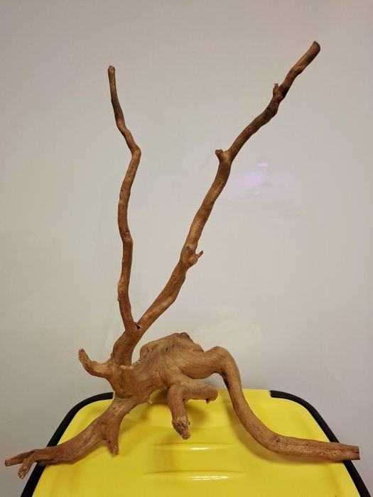 Vand red moor wood pentru acvariu