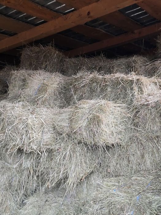 De vanzare baloti de fan