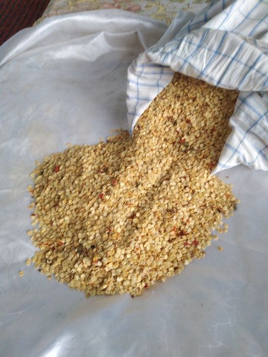 Balgarski urug Super lassika