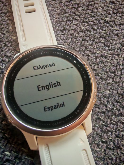 Ceas Garmin Fenix 6S