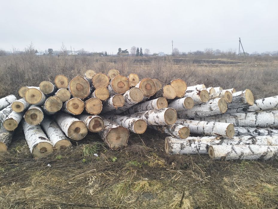 Деловой лес(кругляк)