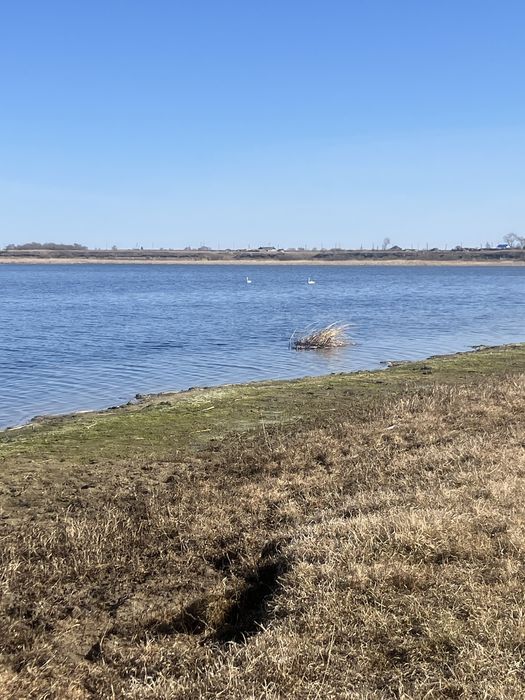 Дом Село Продажа Срочно