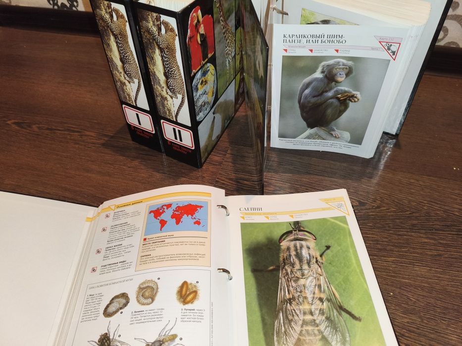 Энциклопедия про животных