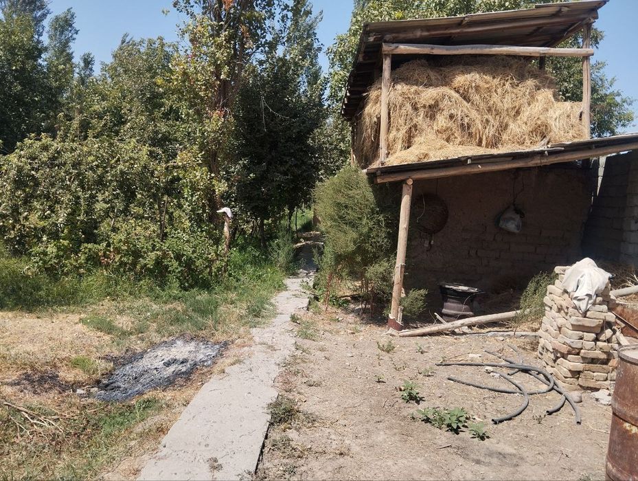 Юкори чирчикский район.Жумабазар.24 соток ховли сотилади