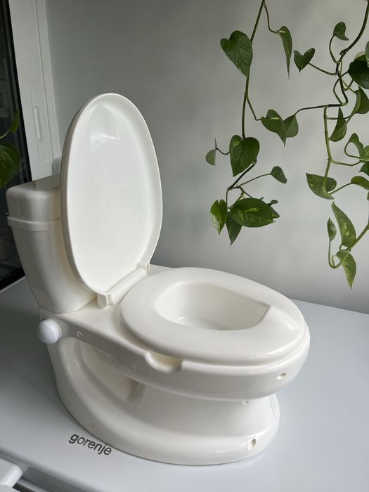 Olita cu sunete Dolu