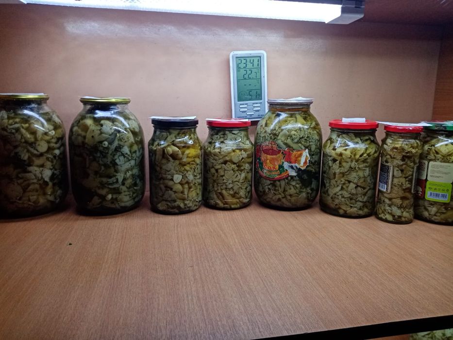 Продам маринованные грибы
