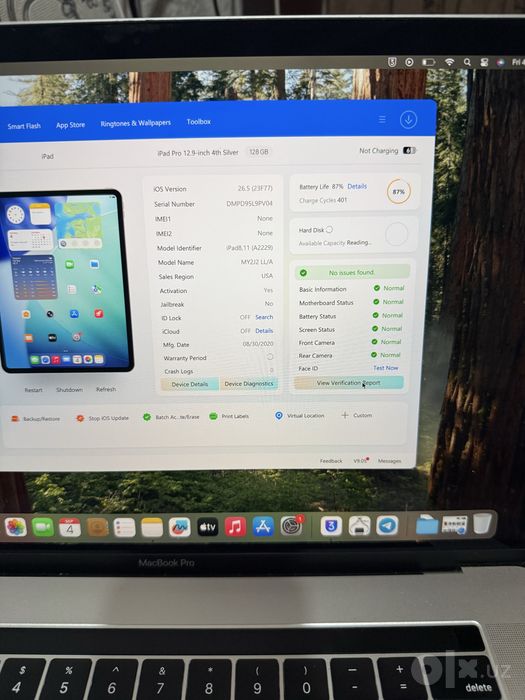 Ipad pro 12.9