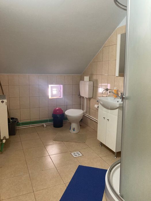 Cabana de revelion in Belis