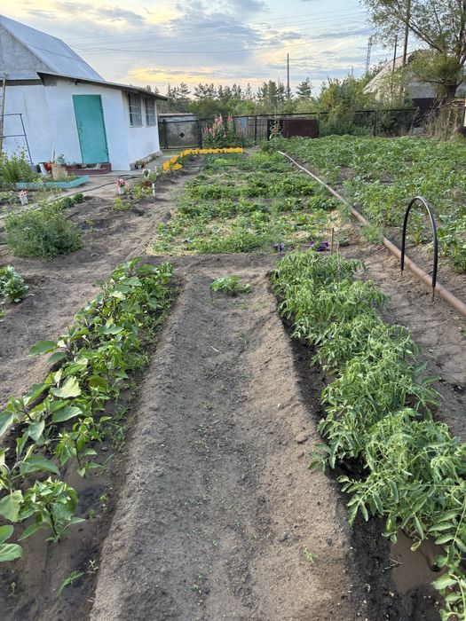 Продам дачу Сосновый бор