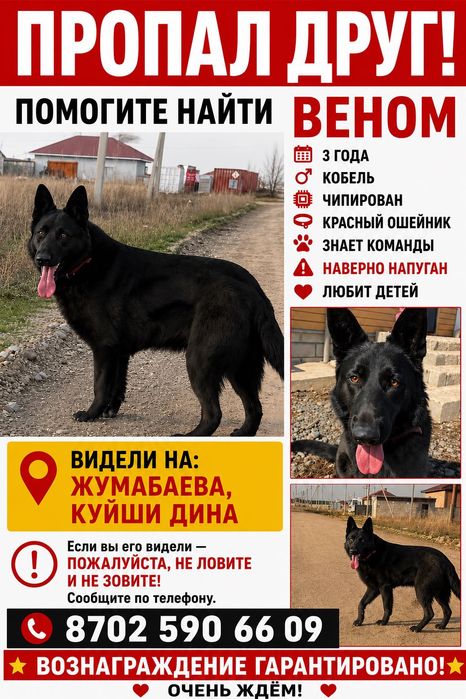 Пропала восточно-европейская овчарка