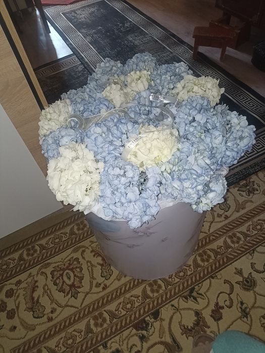 Букет, Цветы Шымкент