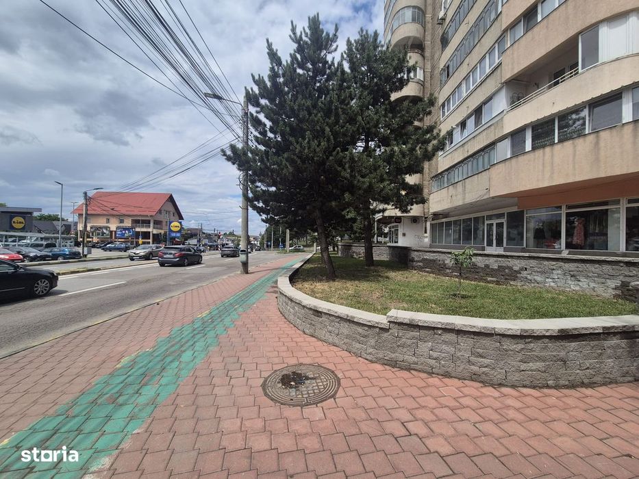 Spatiu comercial George Enescu de vanzare
