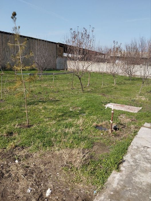 Asalomalekum zudlik bilan yer sotladi 5 sotx Yangi yol tumani Lennizmd