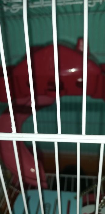 Клетка для хомячка