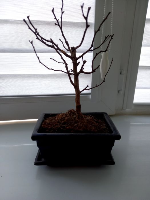 Продается горшок