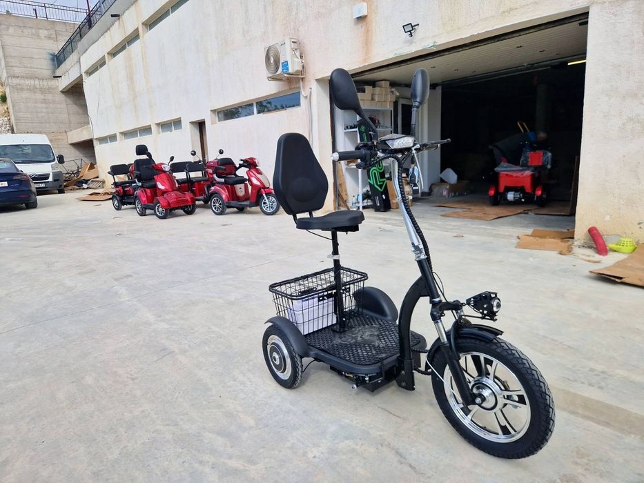 -40% от Вносител Електрическа Триколка БЛ 200 лукс