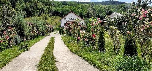 Vând Vila in Toplița!