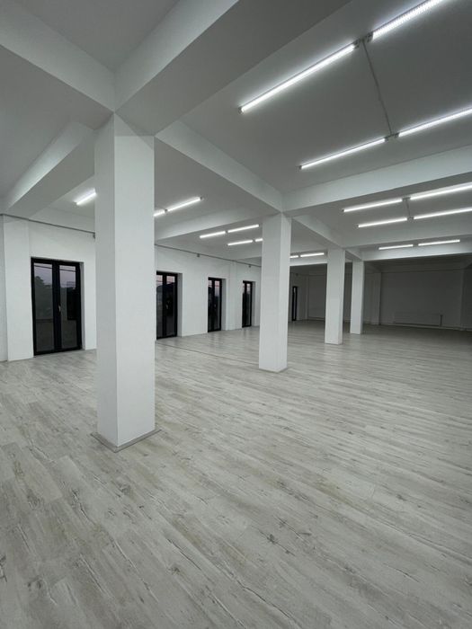 Spatii de inchiriat