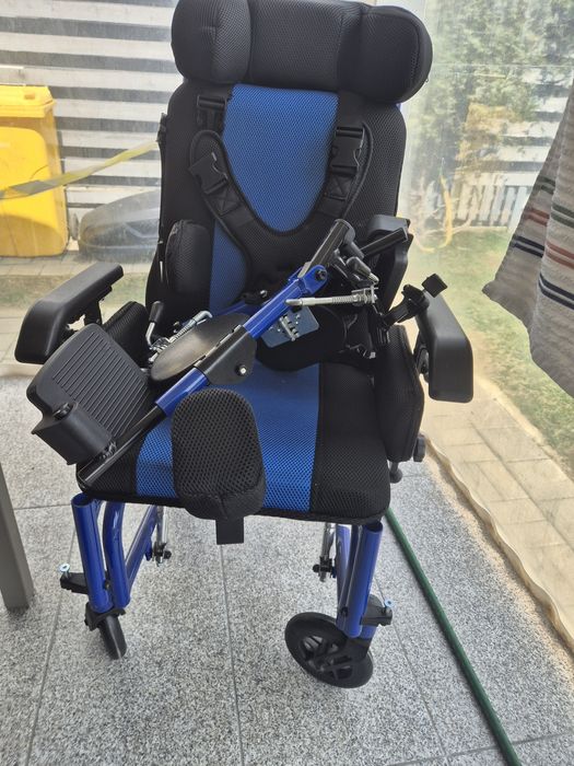 Carut copii cu dizabilitati