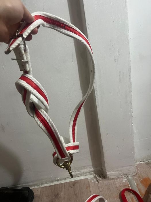 Продается ноқта, жүген на скот.