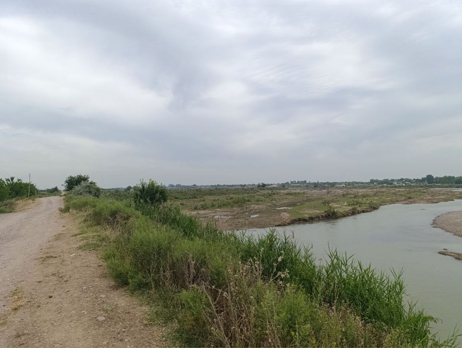 Ишлаб чикаришнинг барча тармоклари учун мулжалланган ер майдони