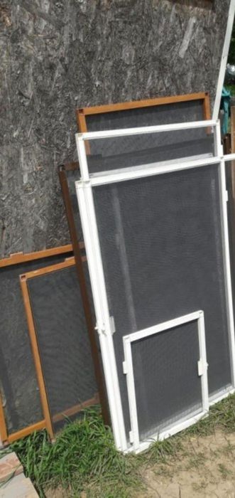 Plase insecte diferite culori