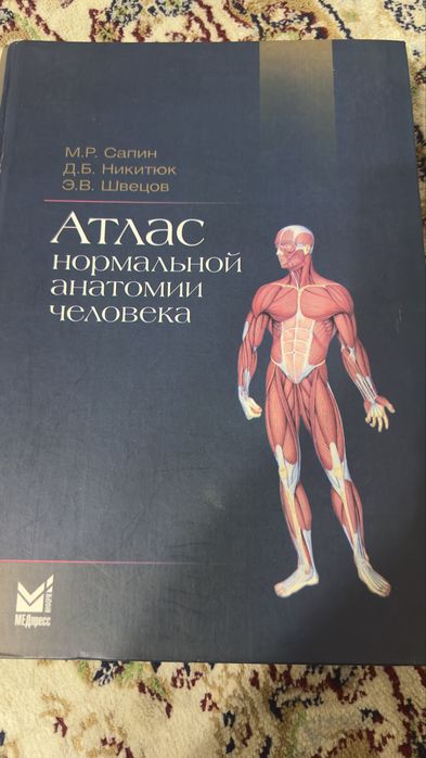 Атлас нормалтной анатомии человека Сапин