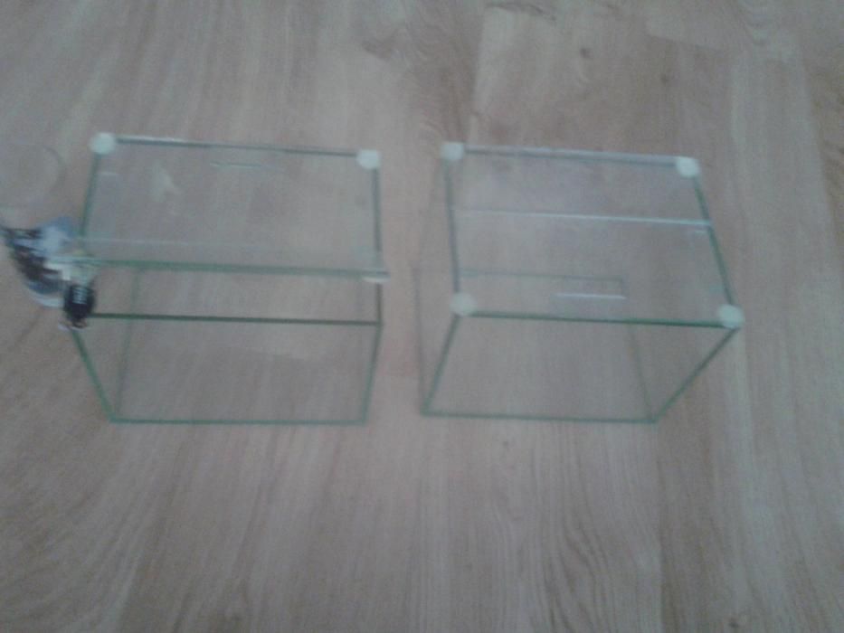 Стъклена кутия за ядки,бонбони или подправки