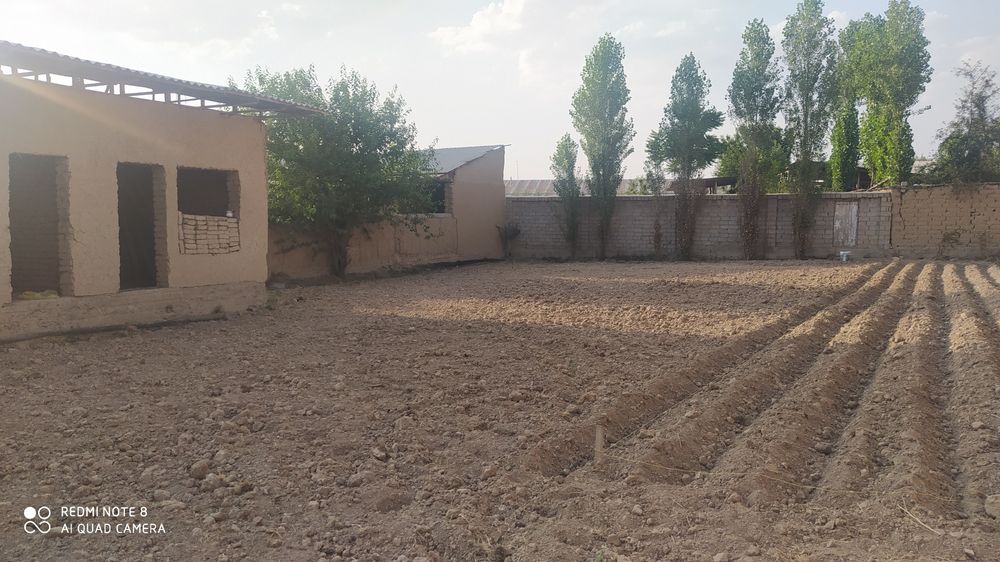 Участка келес навои жамоа хожалигида 8 сотх 2 хона мавжуд