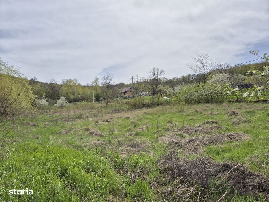 Teren intravilan, 5000 mp, 35 euro/mp, Vladiceni