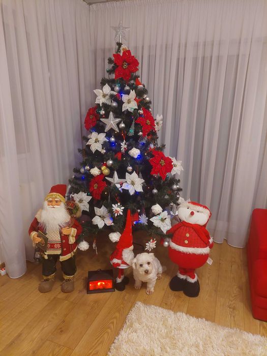 Brad artificial in stare buna!