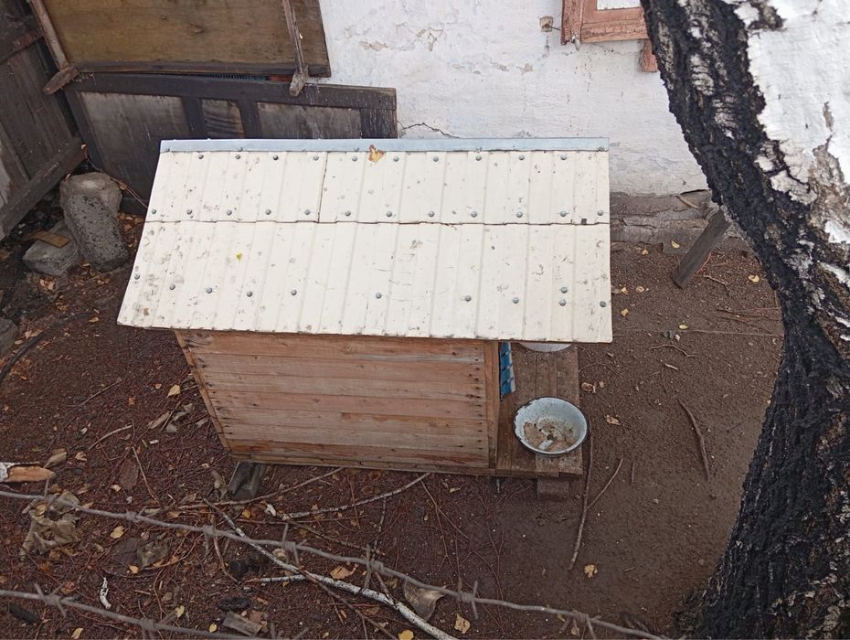 Будка для не большой собаки.