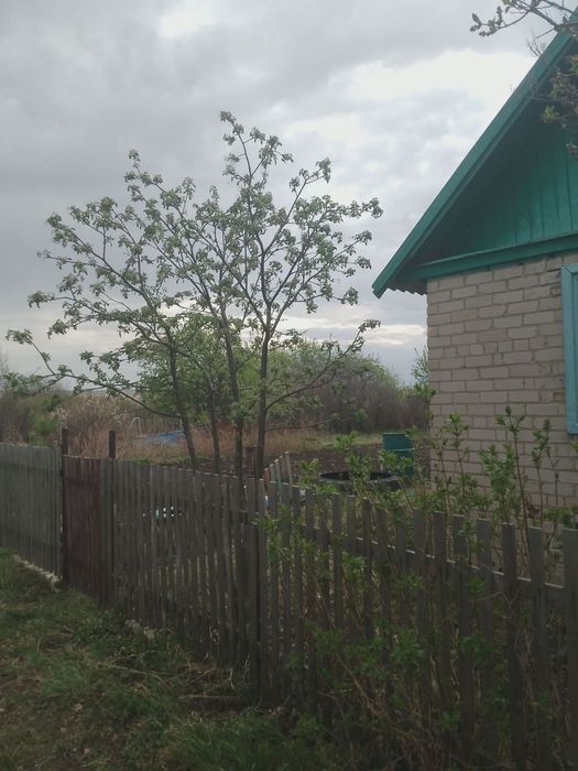 Продам дачу в обществе Ромашка