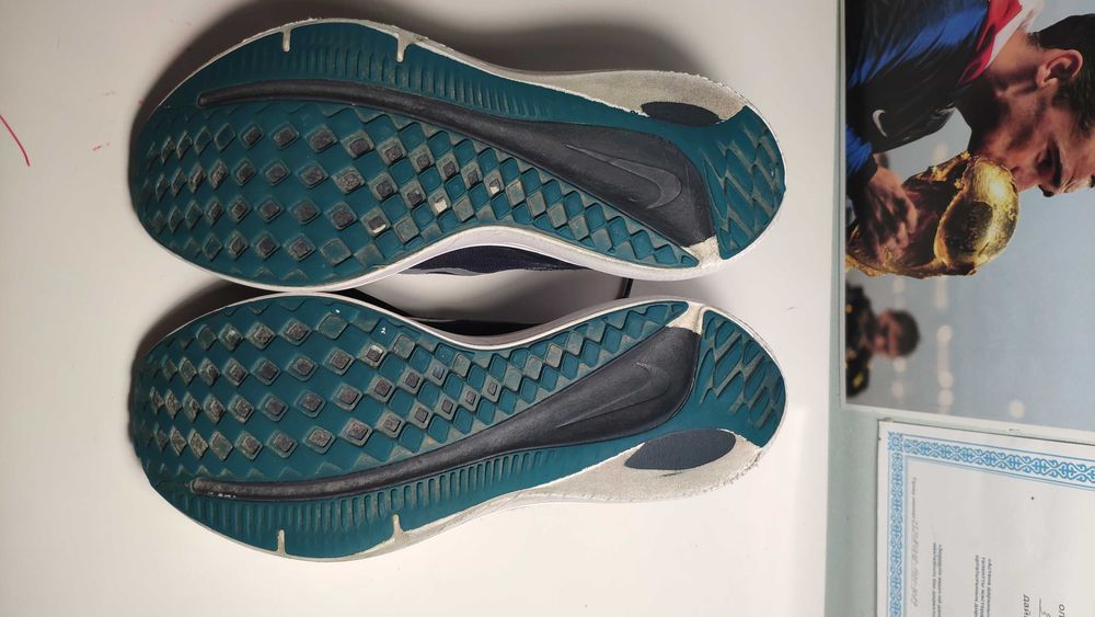 Nike WinFlo 9 кроссовки для бега